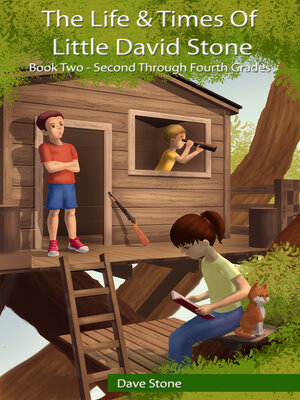 cover image of The Life & Times of Little David Stone